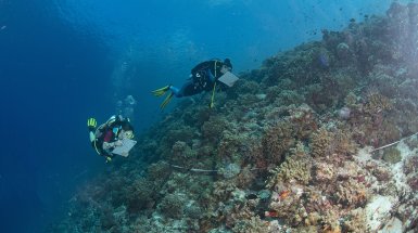 Scheduled from 24 November to 2 December 2025 at the MaRHE Centre (Maldives)