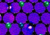 Trapping single metal atoms in graphene