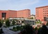 Bicocca_BCC65441