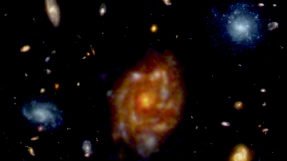 The Big Wheel Galaxy