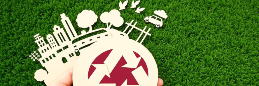 Economics and Science for Environmental Sustainability