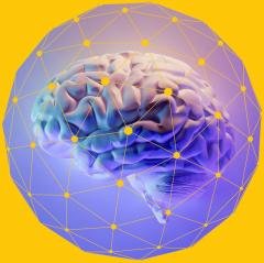 mappamondo neurologie