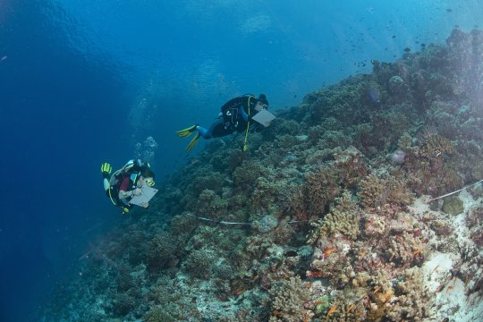 Scheduled from 24 November to 2 December 2025 at the MaRHE Centre (Maldives)