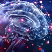 Applied Experimental Psychological Sciences (AEPS)