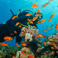 Marine Sciences